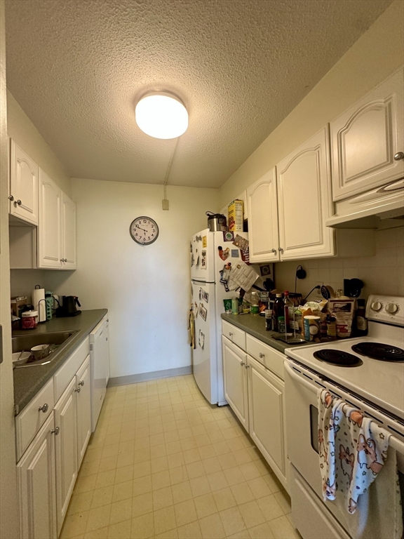 2 bed, 2 bath apartment for rent at 49 Marion St Unit 8A, Coolidge Corner — photo 3 of 19