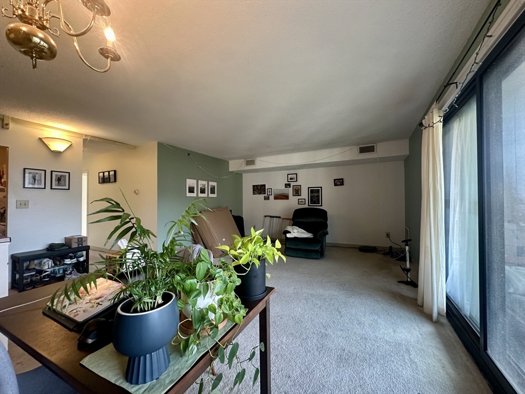 2 bed, 2 bath apartment for rent at 49 Marion St Unit 8A, Coolidge Corner — photo 1 of 19