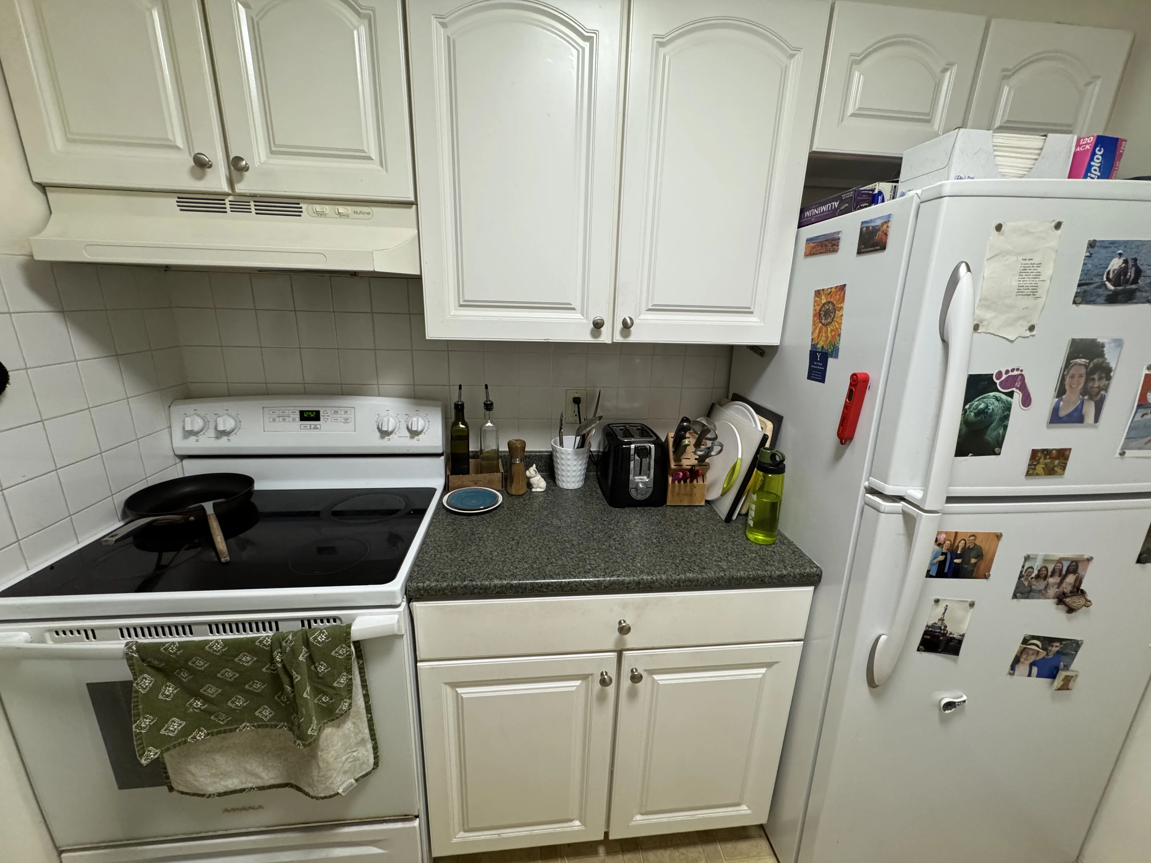 2 bed, 1 bath apartment for rent at 49 Marion St Unit 9B, Coolidge Corner — photo 5 of 15