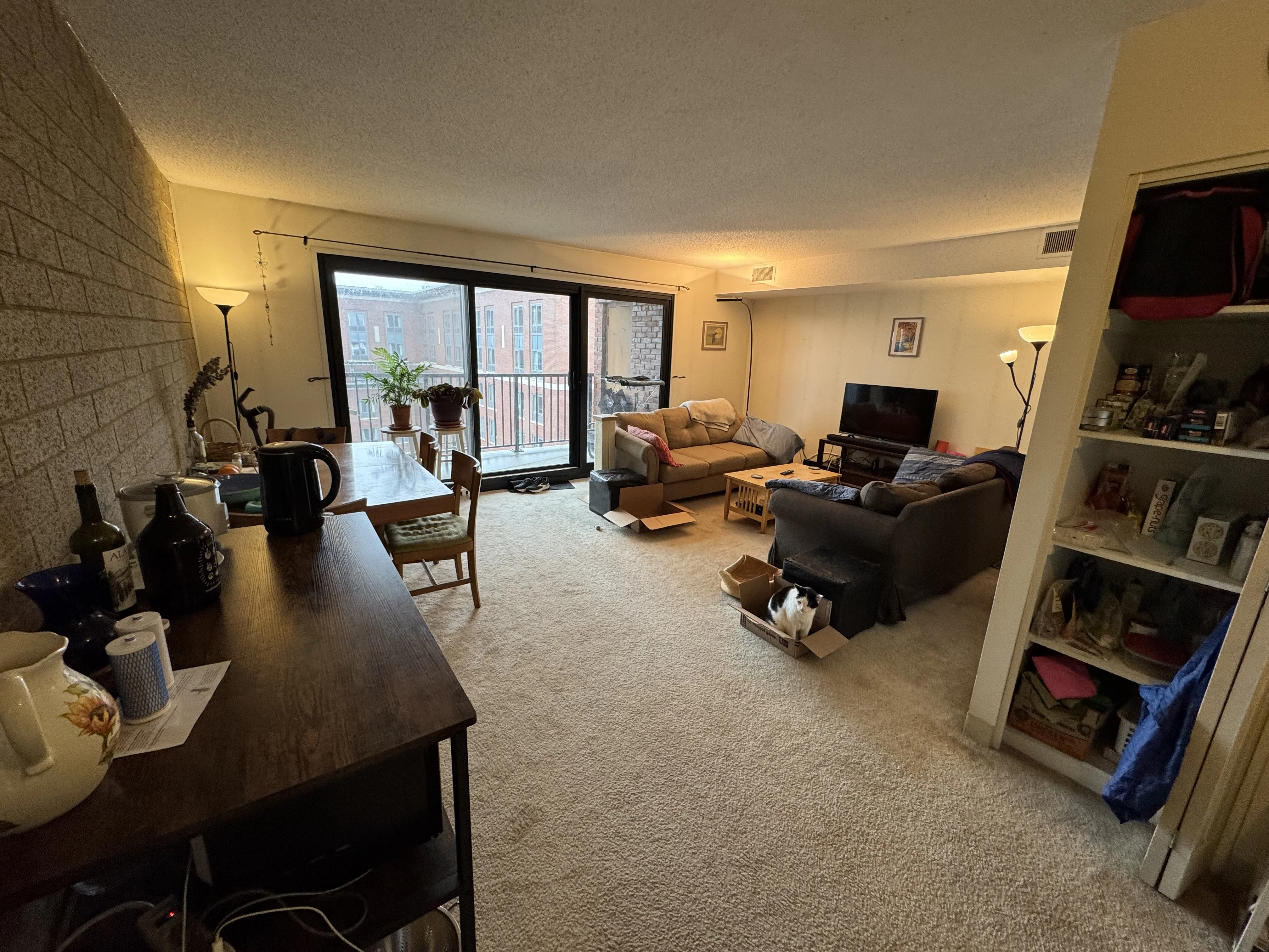 2 bed, 1 bath apartment for rent at 49 Marion St Unit 9B, Coolidge Corner — photo 1 of 15