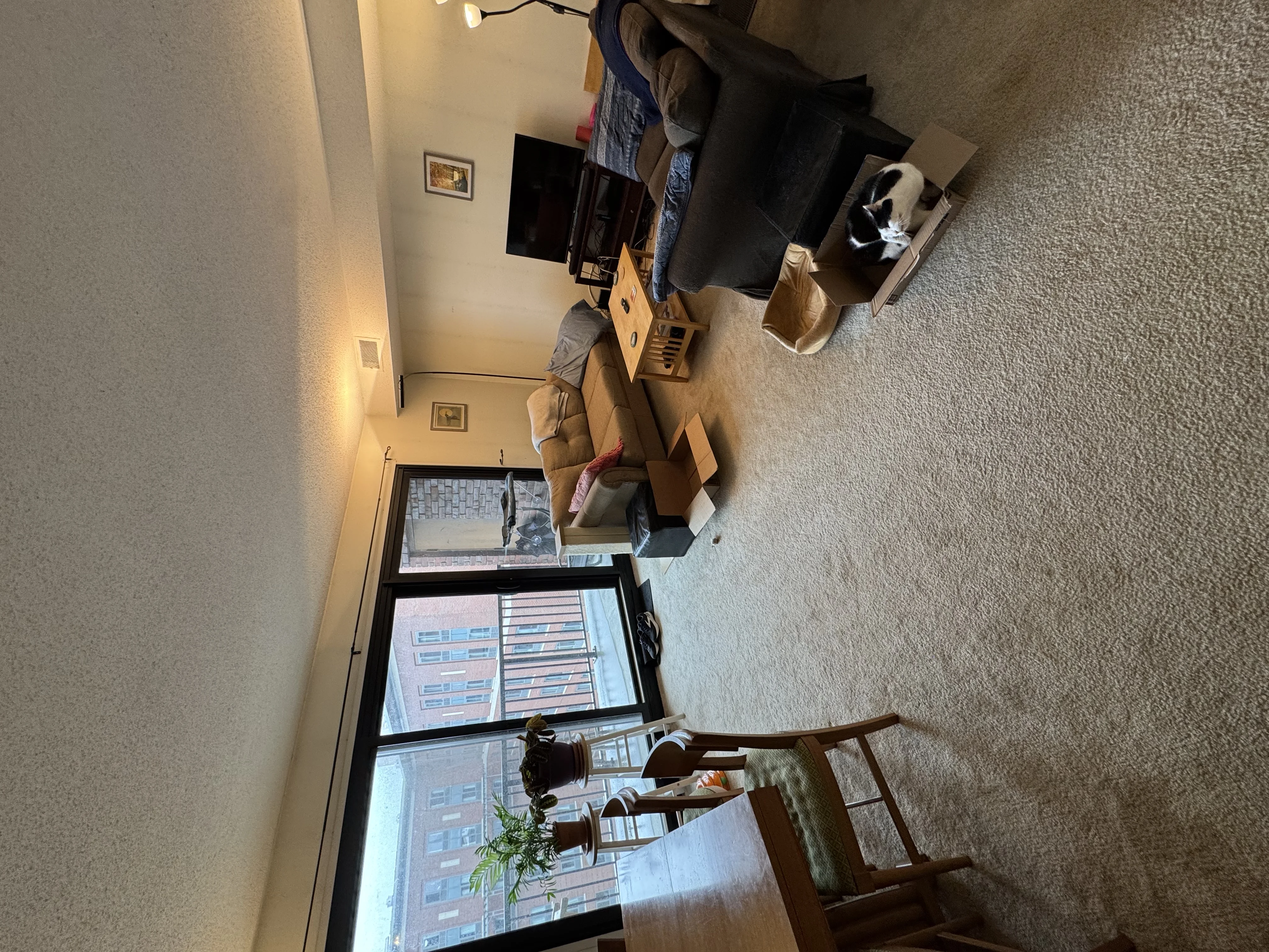 2 bed, 1 bath apartment for rent at 49 Marion St Unit 9B, Coolidge Corner — photo 6 of 15