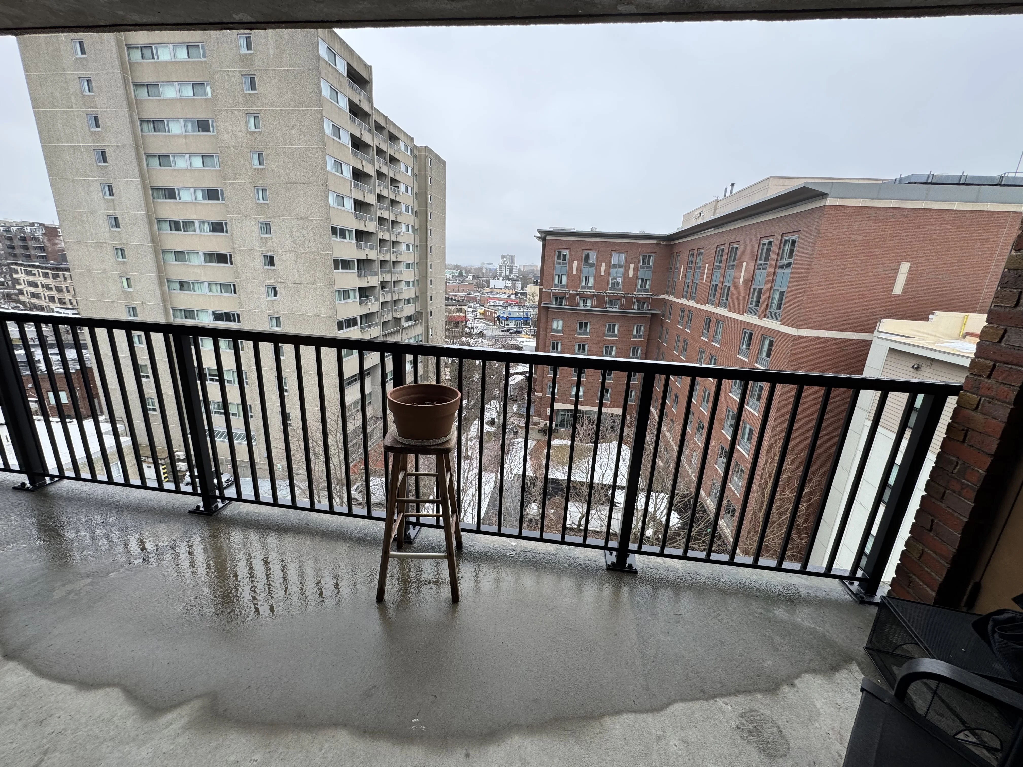 2 bed, 1 bath apartment for rent at 49 Marion St Unit 9B, Coolidge Corner — photo 2 of 15