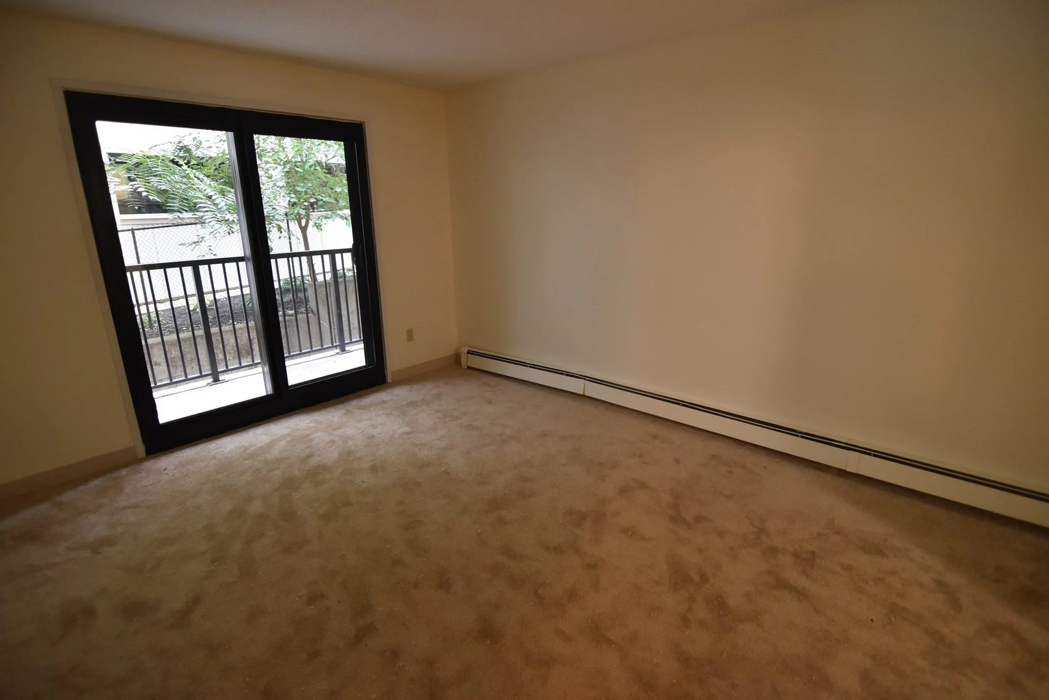 2 bed, 1 bath apartment for rent at 49 Marion Unit 1B, Coolidge Corner — photo 5 of 12