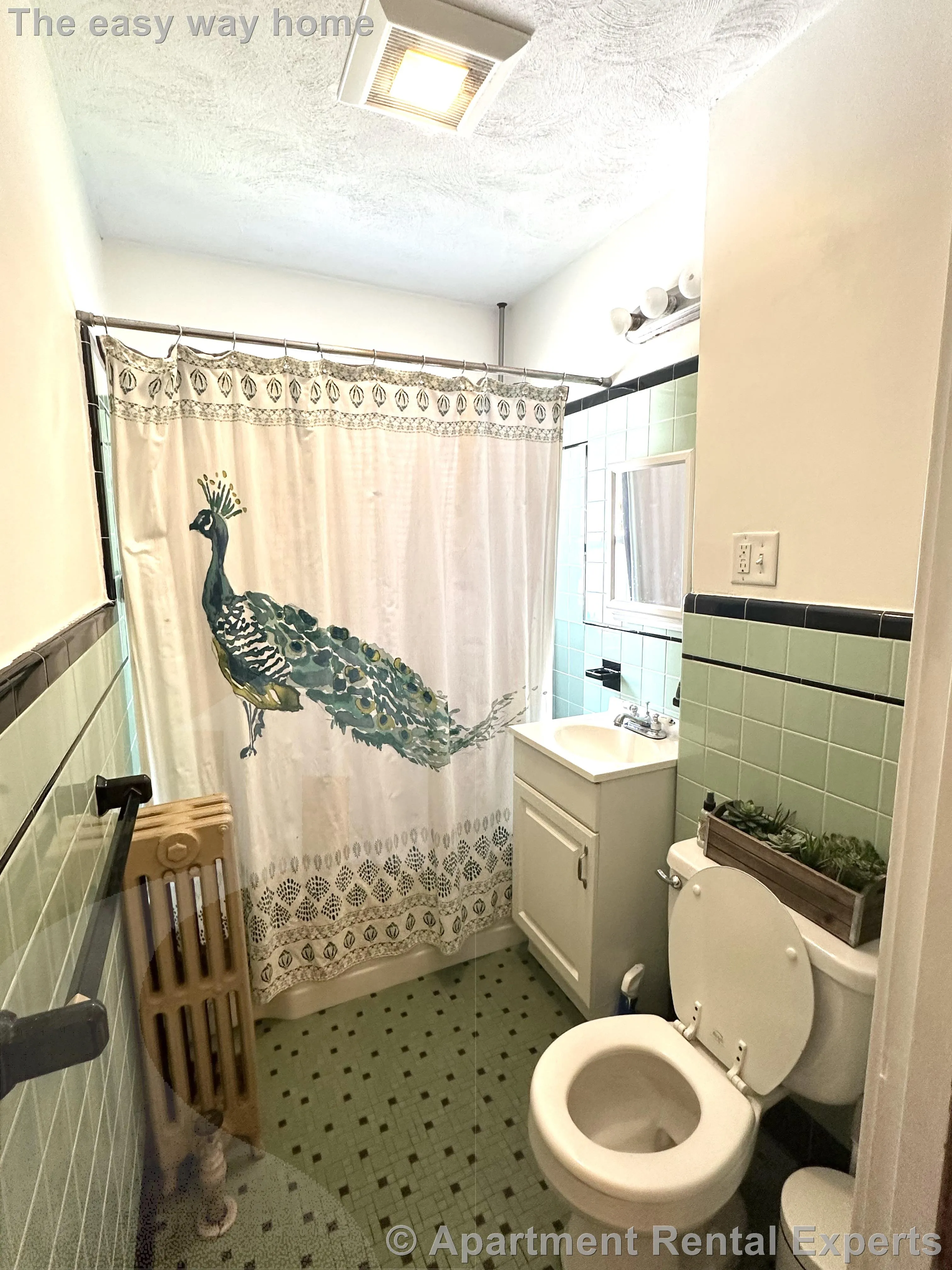 2 bed, 1 bath apartment for rent at 49 Sydney St, Winter Hill — photo 11 of 14