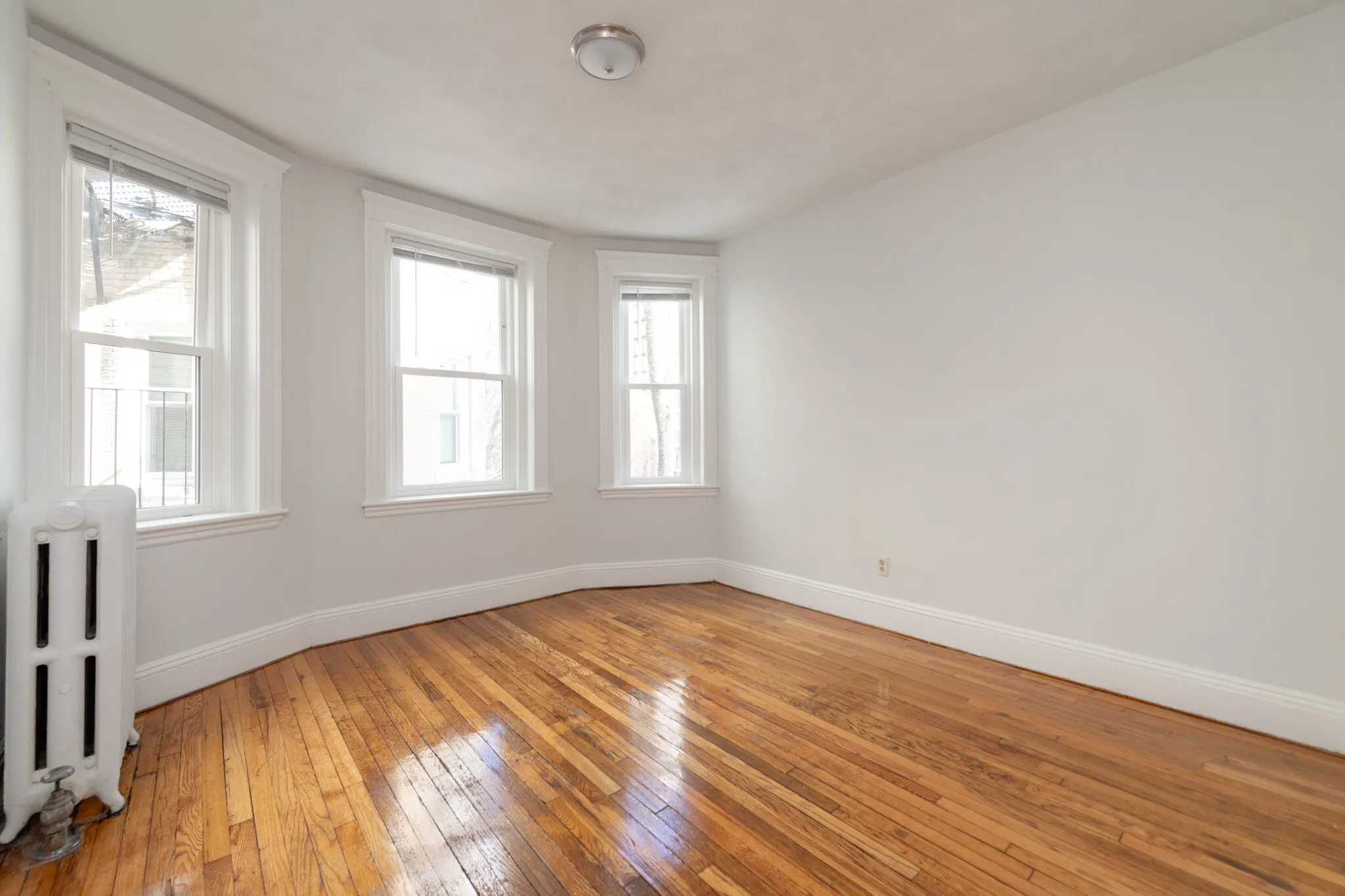 Studio bed, 1 bath apartment for rent at 49 Worthington St Unit 38, Mission Hill — photo 1 of 11