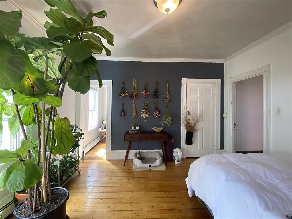 2 bed, 1 bath apartment for rent at 496 Sumner St Unit 3, East Boston — photo 2 of 20