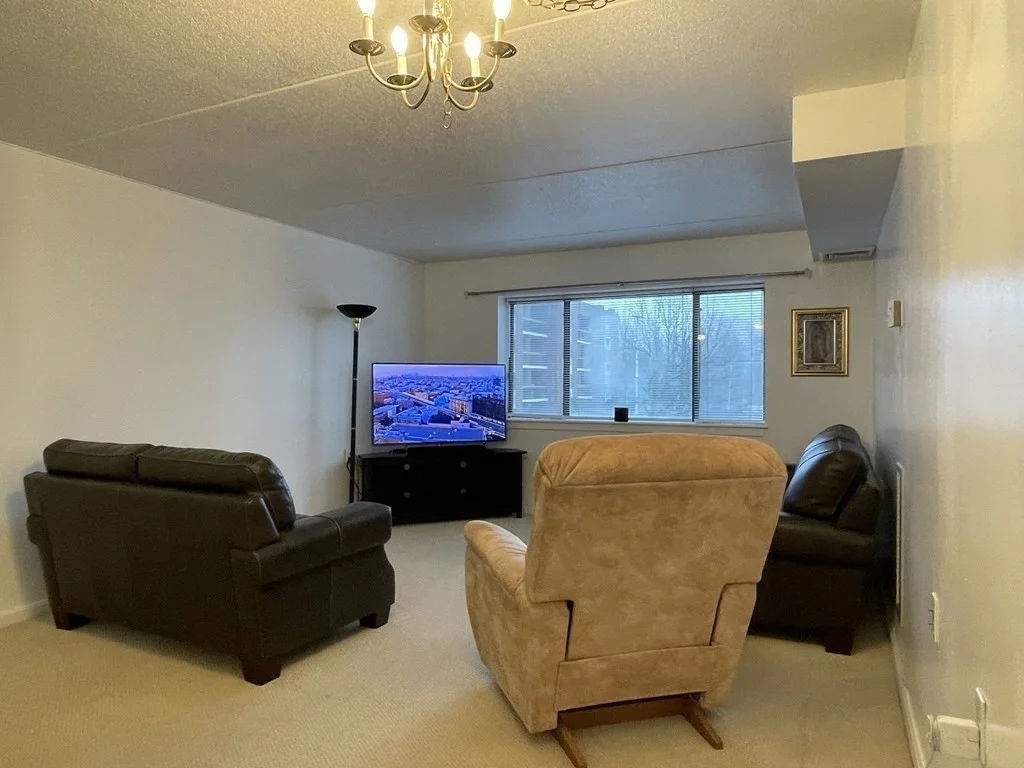2 bed, 2 bath apartment for rent at 4975 Washington St Unit 217, West Roxbury — photo 3 of 15