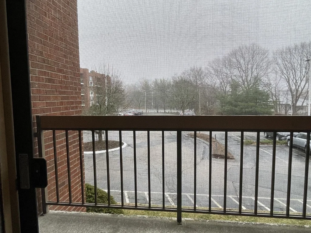 2 bed, 2 bath apartment for rent at 4975 Washington St Unit 217, West Roxbury — photo 9 of 15