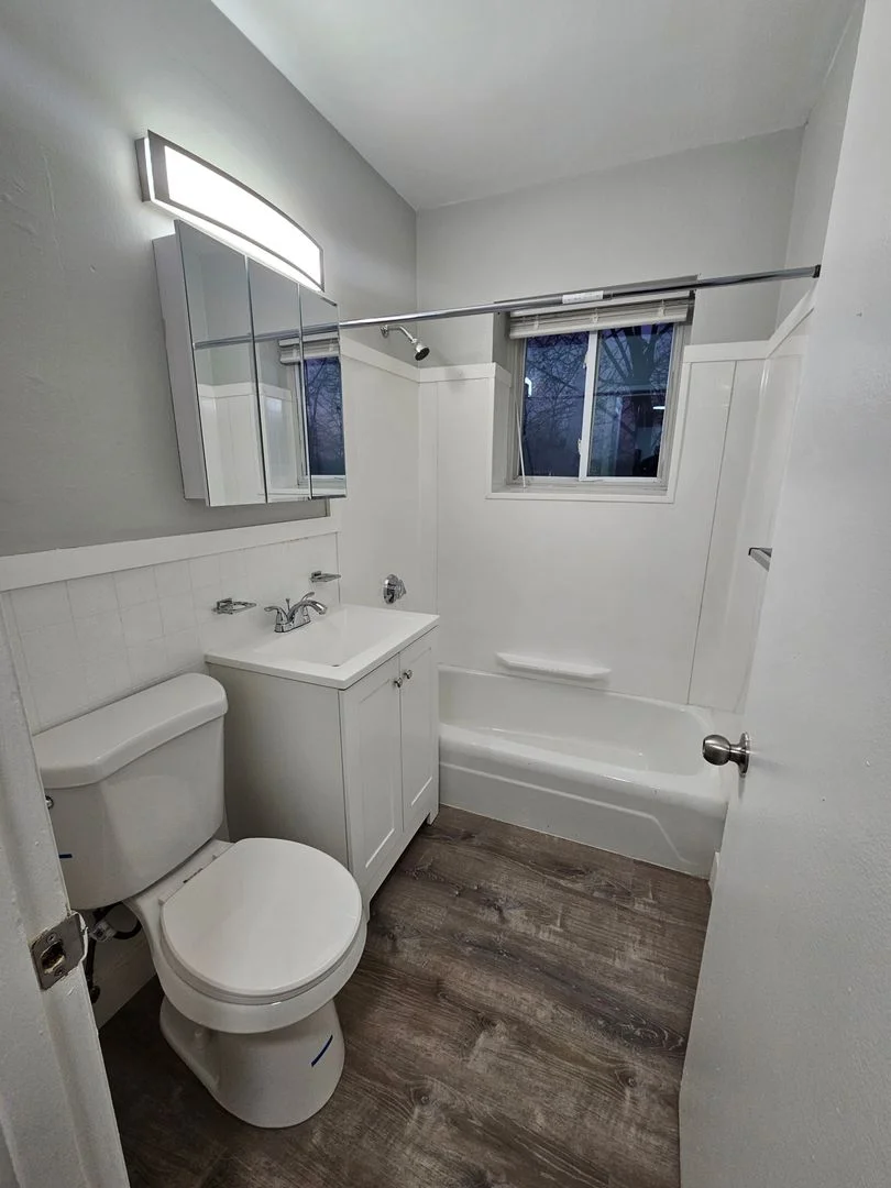 1 bed, 1 bath apartment for rent at 498 Norfolk St Unit 201, Mattapan — photo 10 of 13