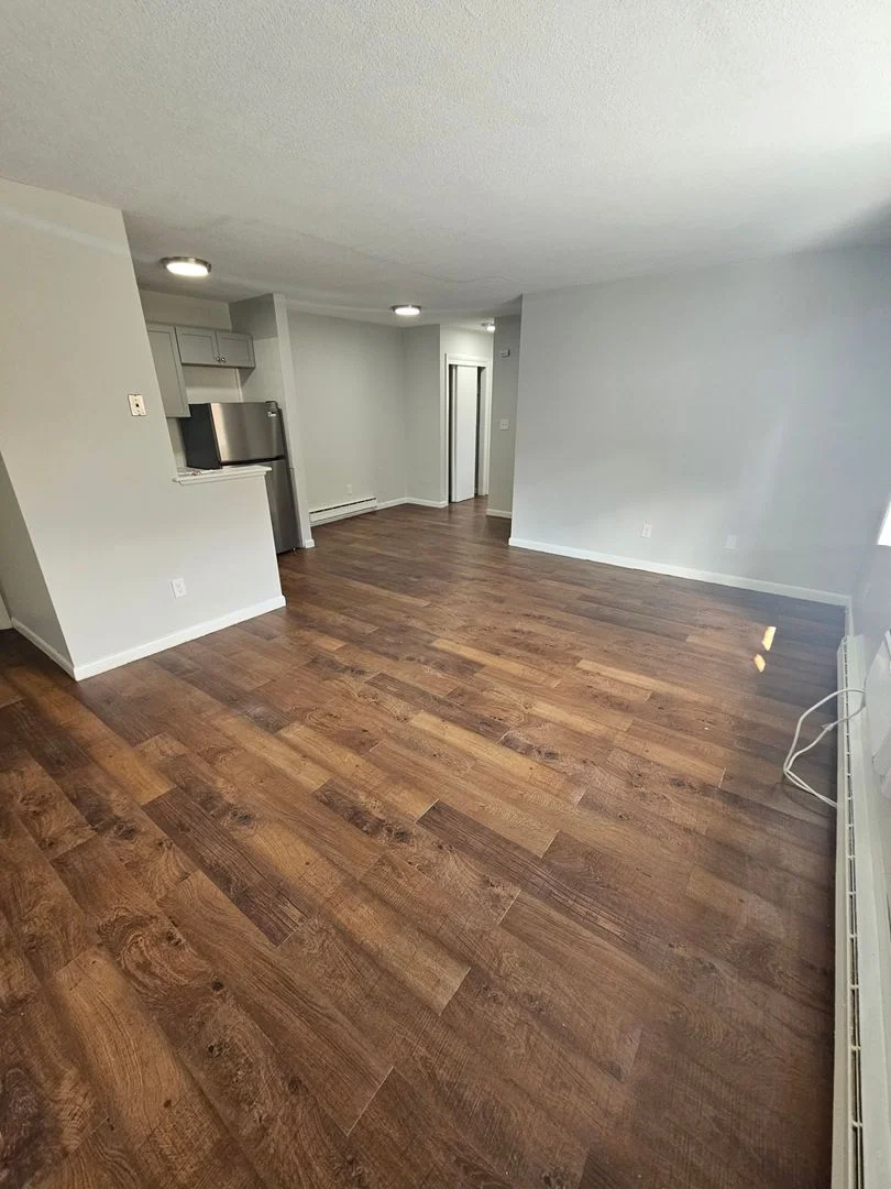 1 bed, 1 bath apartment for rent at 498 Norfolk St Unit 201, Mattapan — photo 3 of 13