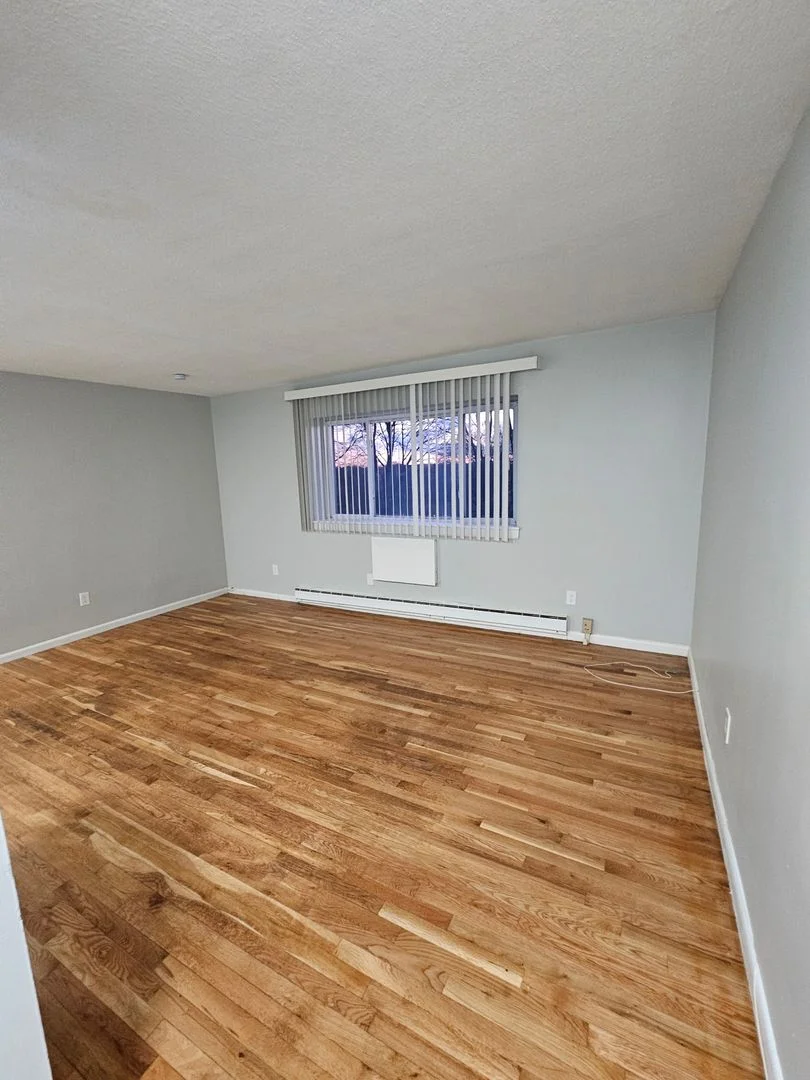 1 bed, 1 bath apartment for rent at 498 Norfolk St Unit 201, Mattapan — photo 6 of 13