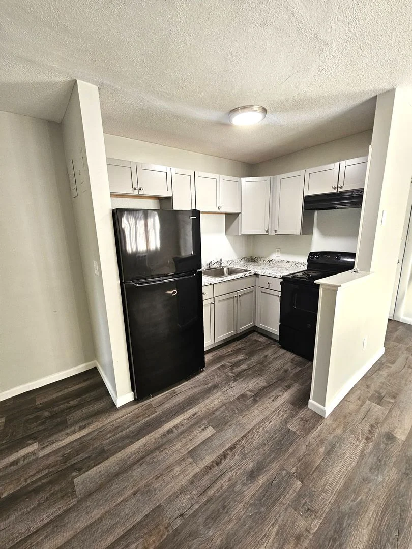 1 bed, 1 bath apartment for rent at 498 Norfolk St Unit 201, Mattapan — photo 1 of 13