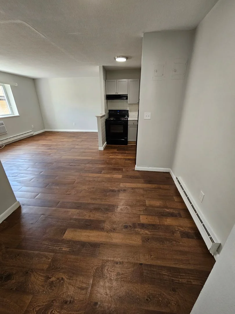 1 bed, 1 bath apartment for rent at 498 Norfolk St Unit 201, Mattapan — photo 5 of 13