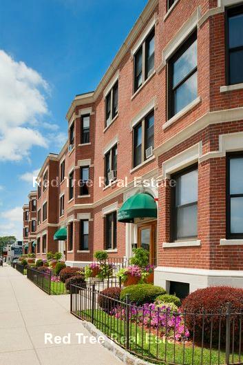 1 bed, 1 bath apartment for rent at 5 Barrows St Unit 2A, Allston — photo 13 of 13