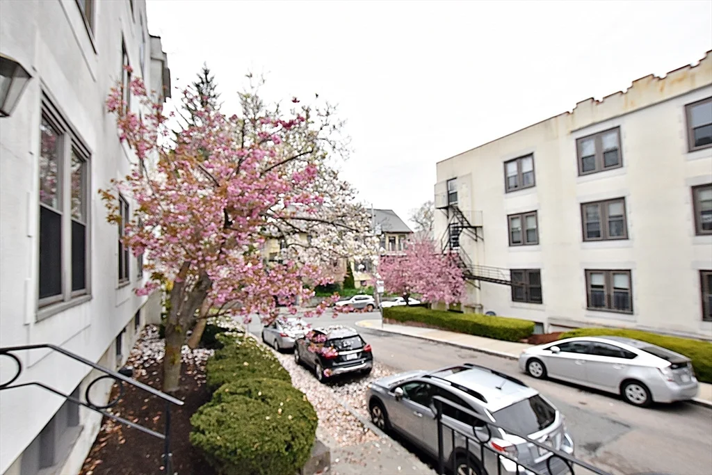 2 bed, 1 bath apartment for rent at 5 Bellvista Rd Unit 6, Brighton — photo 22 of 30