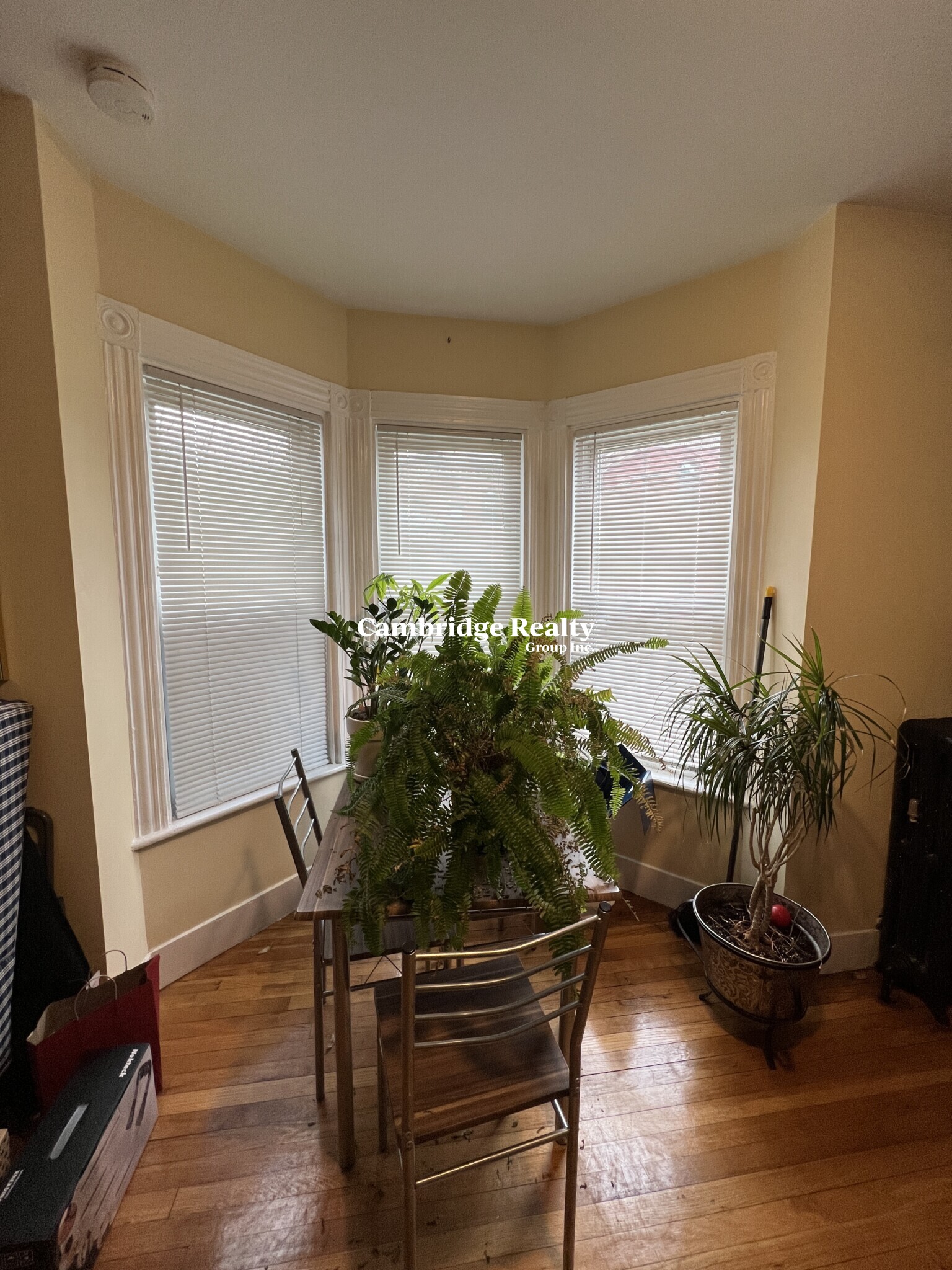 Studio bed, 1 bath apartment for rent at 5 Blake St Unit 3T, North Cambridge — photo 14 of 27