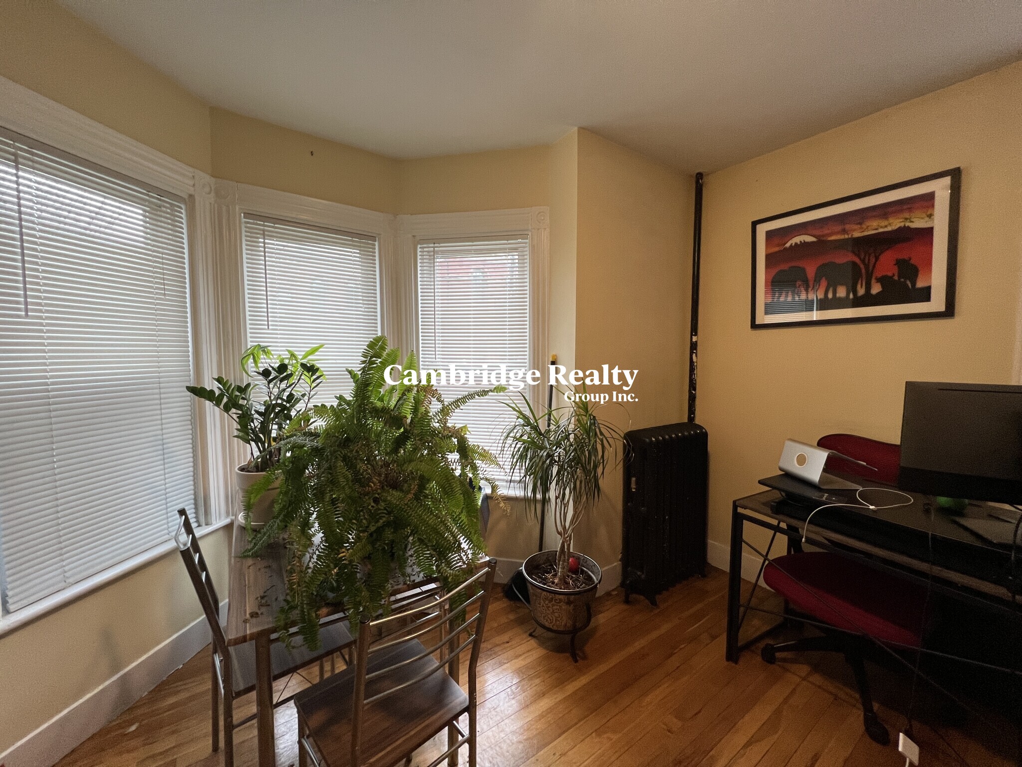 Studio bed, 1 bath apartment for rent at 5 Blake St Unit 3T, North Cambridge — photo 15 of 27