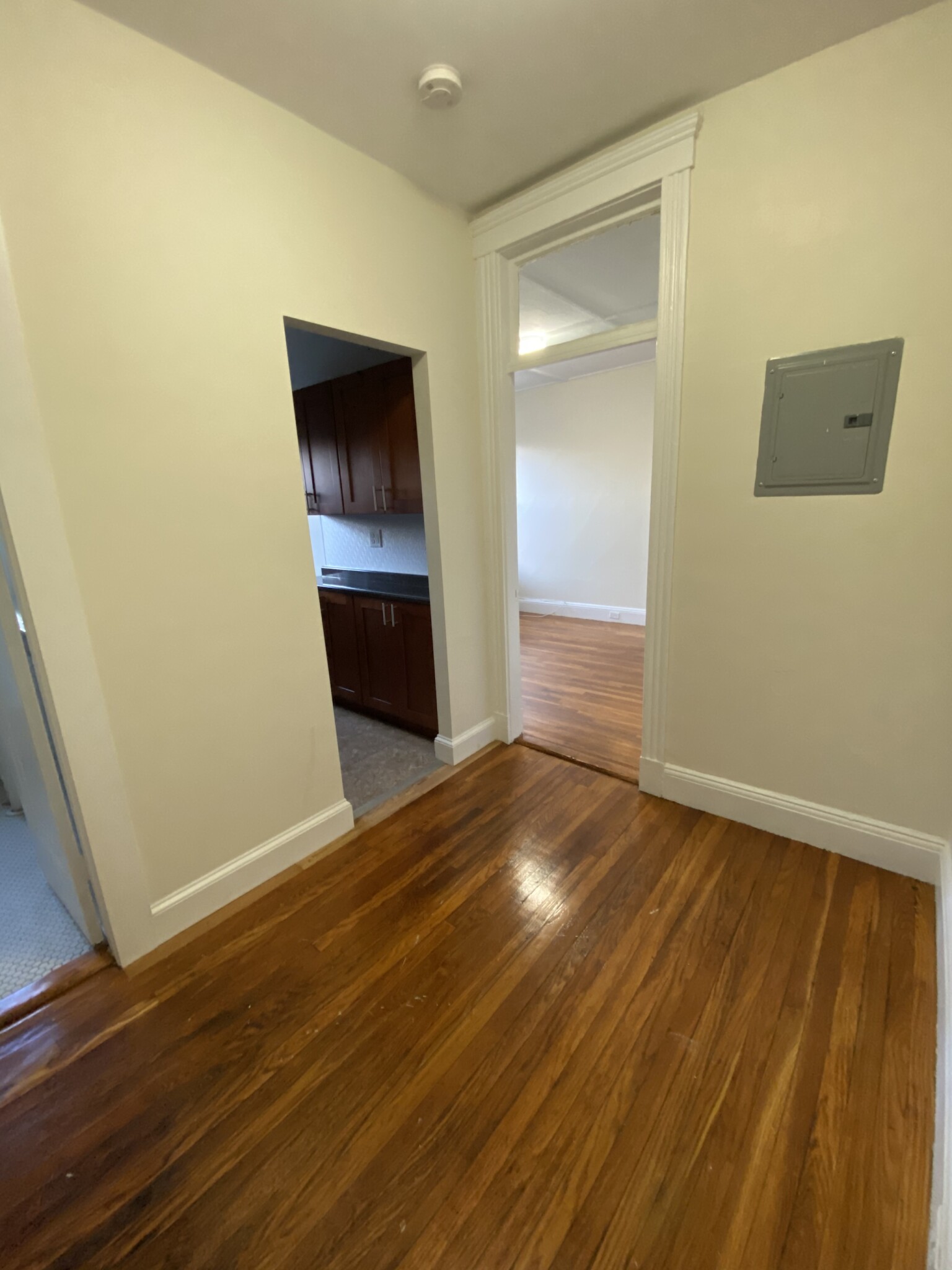 Studio bed, 1 bath apartment for rent at 5 Boylston St Unit 5, Jamaica Plain — photo 1 of 15