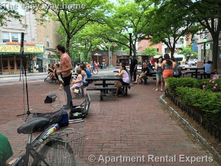 2 bed, 1 bath apartment for rent at 5 Clyde St Unit 1, Davis Square — photo 23 of 27