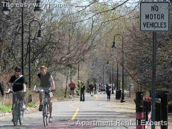 2 bed, 1 bath apartment for rent at 5 Clyde St Unit 1, Davis Square — photo 21 of 27