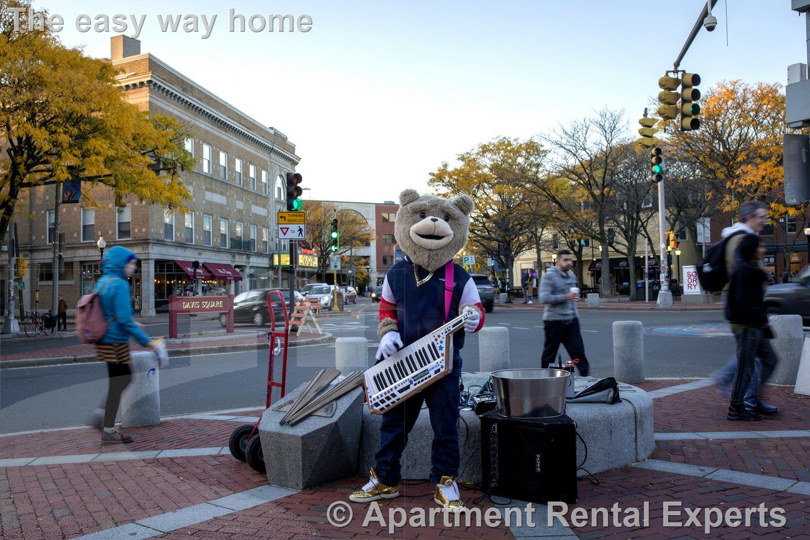 2 bed, 1 bath apartment for rent at 5 Clyde St Unit 1, Davis Square — photo 22 of 27