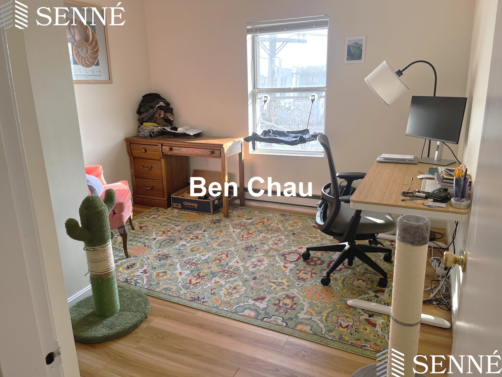 1.5 bed, 1 bath apartment for rent at 5 Elm St Unit 3B, Spring Hill — photo 6 of 10