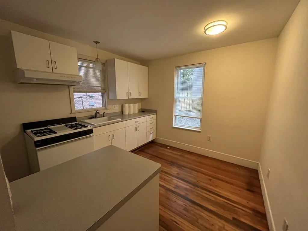 1 bed, 1 bath apartment for rent at 5 Forbes St Unit 1, Jamaica Plain — photo 3 of 5