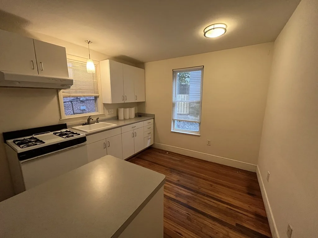 1 bed, 1 bath apartment for rent at 5 Forbes St Unit 1, Jamaica Plain — photo 4 of 5