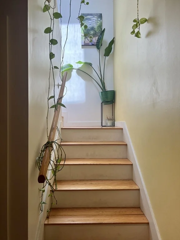 2 bed, 1 bath apartment for rent at 5 Fort Washington Pl Unit B, Cambridgeport — photo 5 of 11