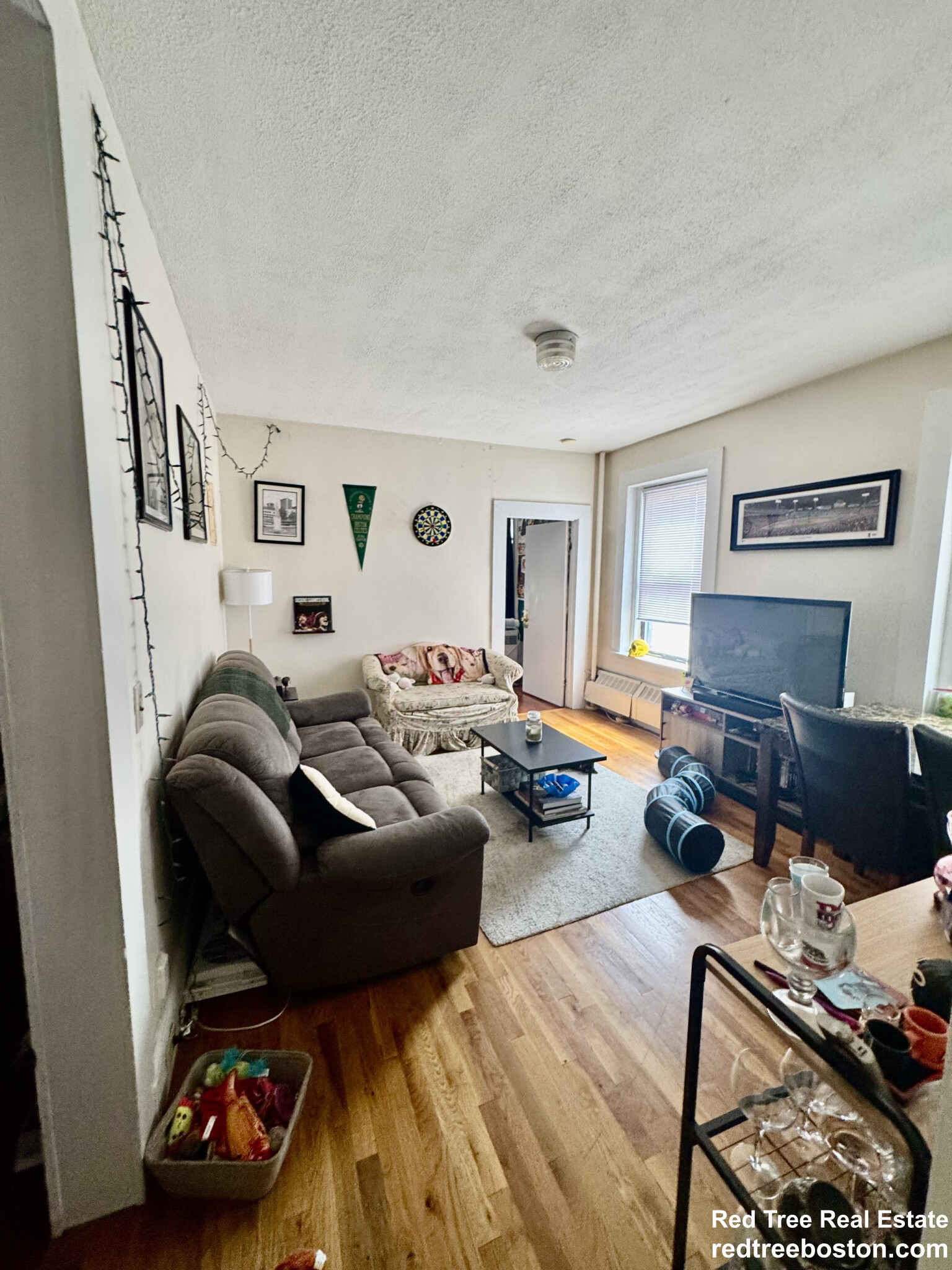 2 bed, 1 bath apartment for rent at 5 Glen Rd Unit 101, Jamaica Plain