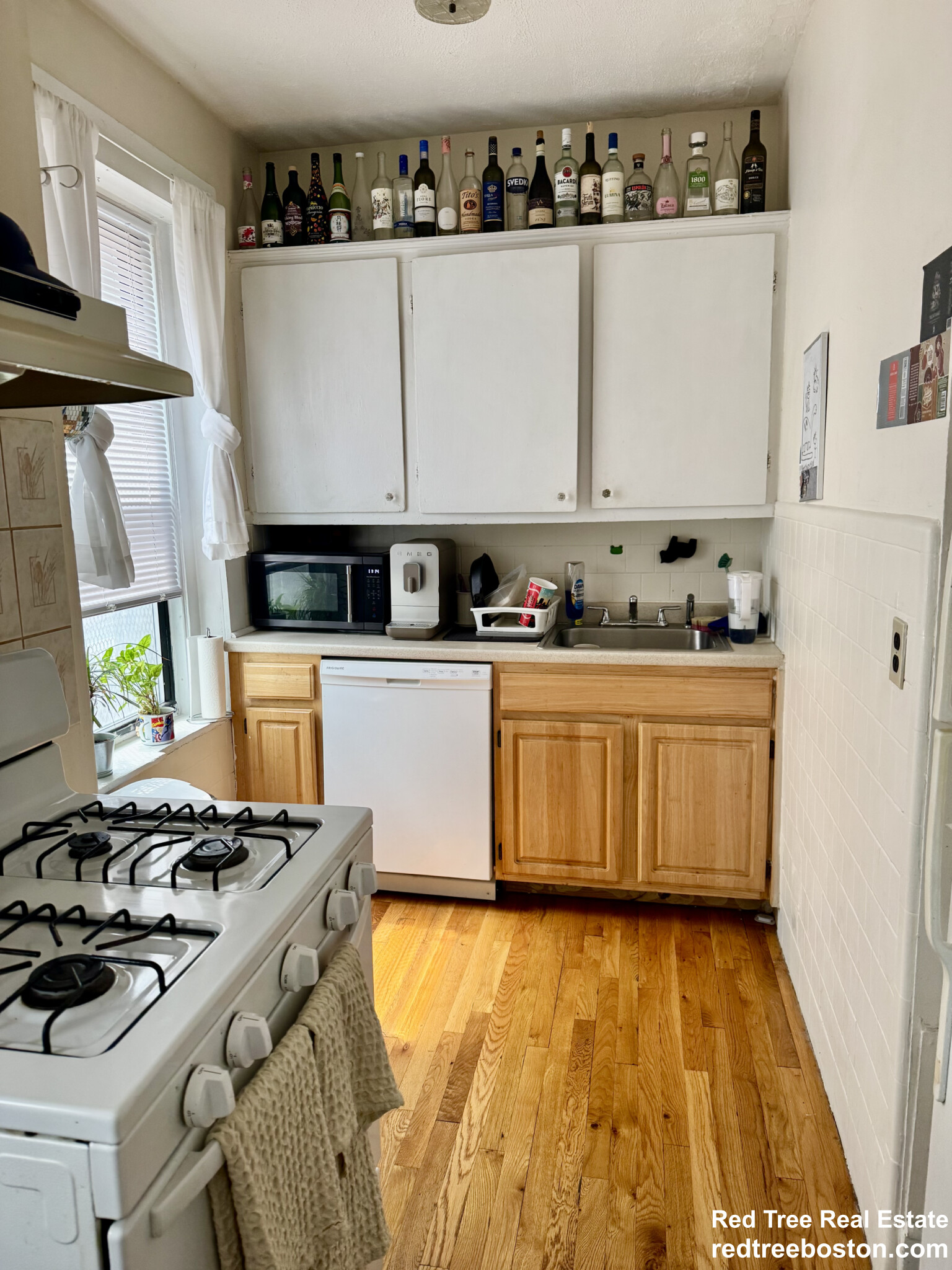 2 bed, 1 bath apartment for rent at 5 Glen Rd Unit 101, Jamaica Plain — photo 2 of 5