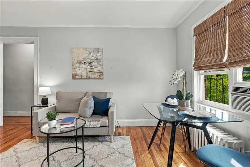 Studio bed, 1 bath apartment for rent at 5 Haskell St Unit 43, North Cambridge — photo 3 of 13