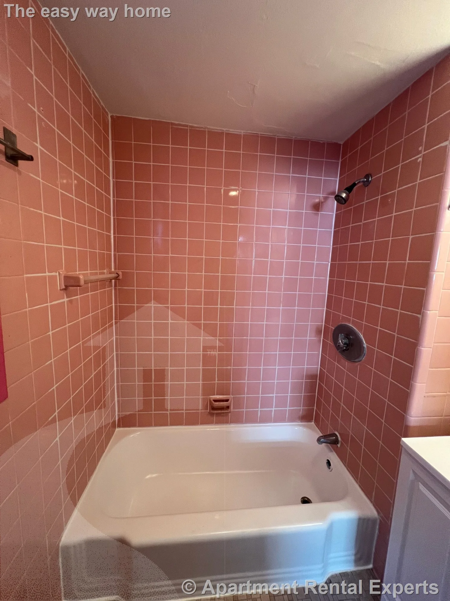 Studio bed, 1 bath apartment for rent at 5 Line St Unit 2A, Mid Cambridge — photo 4 of 8