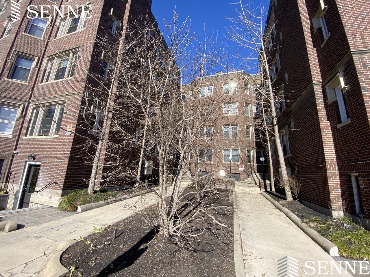 2 bed, 1 bath apartment for rent at 5 Linnaean St Unit 2, Neighborhood Nine — photo 11 of 12