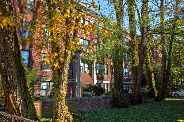 1 bed, 1 bath apartment for rent at 5 Lothian Rd Unit 43, Brighton — photo 15 of 17