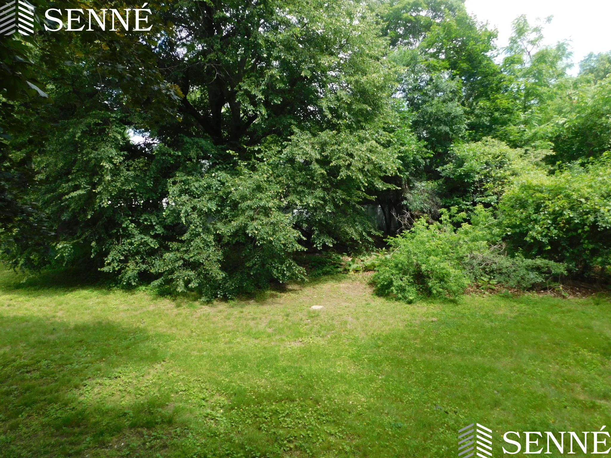 4 bed, 2.5 bath apartment for rent at 5 Middle St Unit 1, Lexington — photo 16 of 16