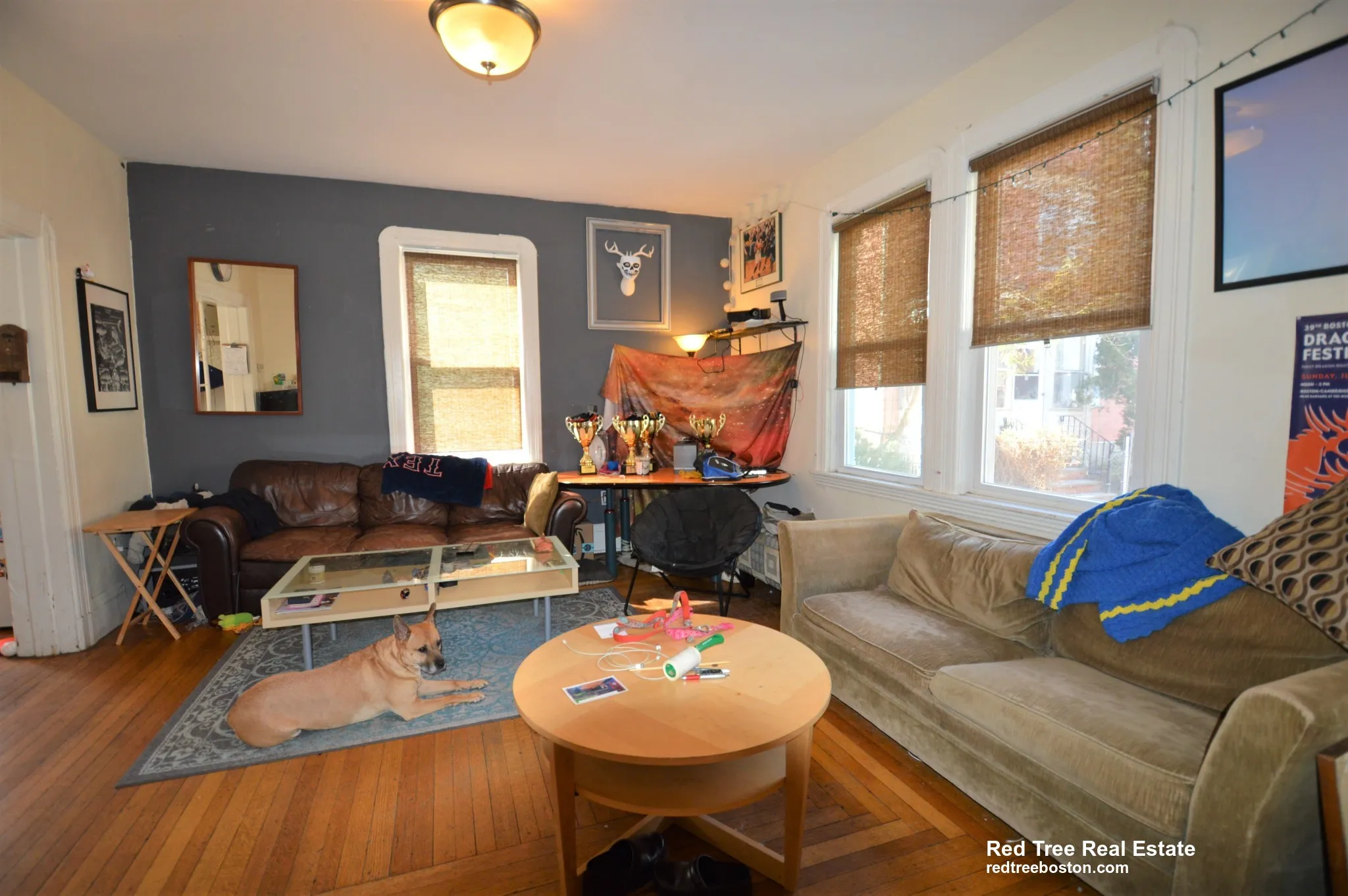 5 bed, 4+ bath apartment for rent at 5 Murdock Ter Unit House, Brighton — photo 8 of 26