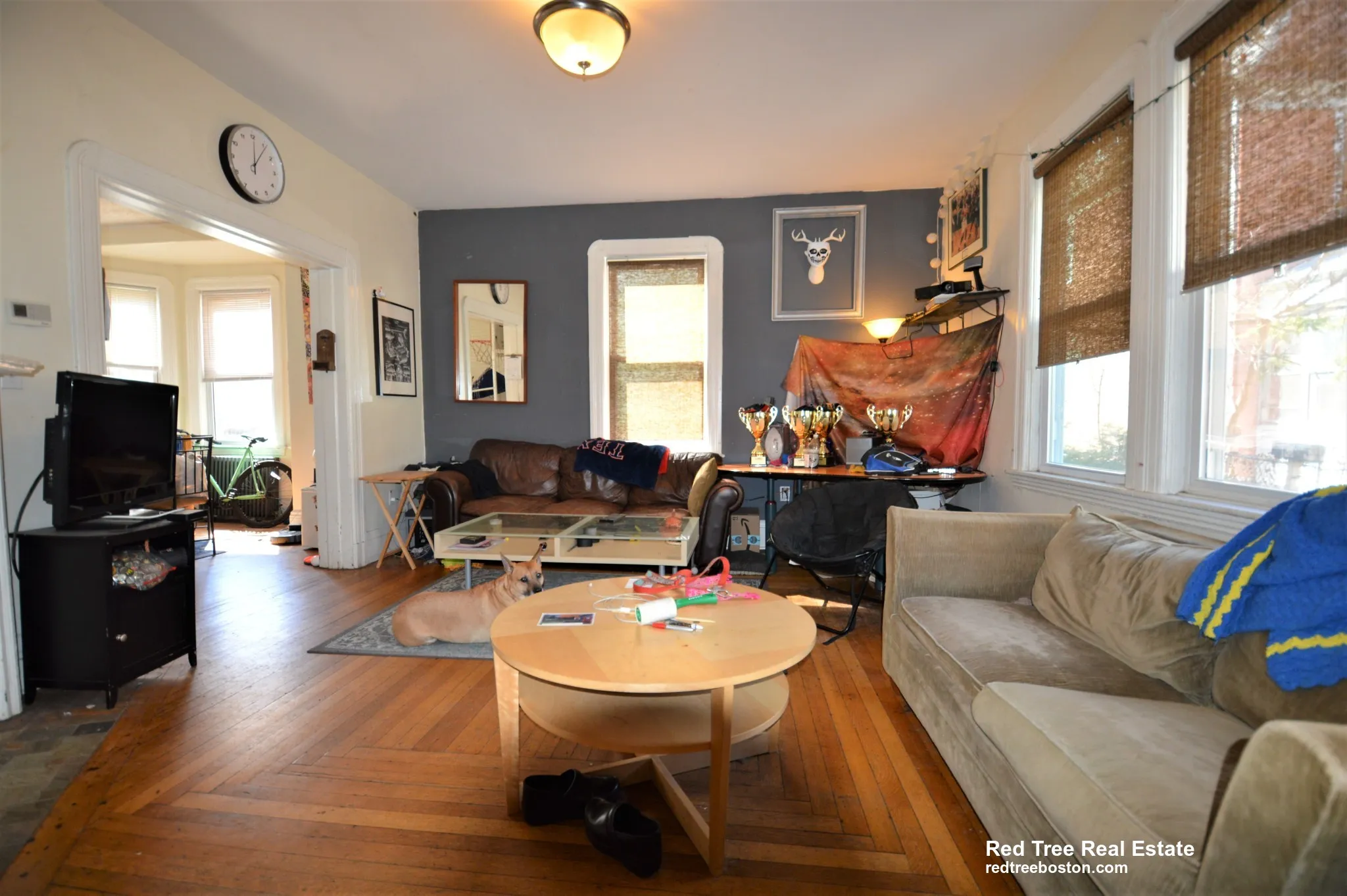 5 bed, 4+ bath apartment for rent at 5 Murdock Ter Unit House, Brighton — photo 9 of 26