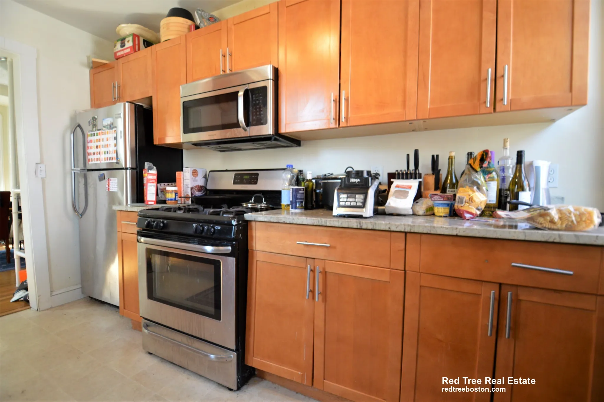 5 bed, 4+ bath apartment for rent at 5 Murdock Ter Unit House, Brighton — photo 4 of 26