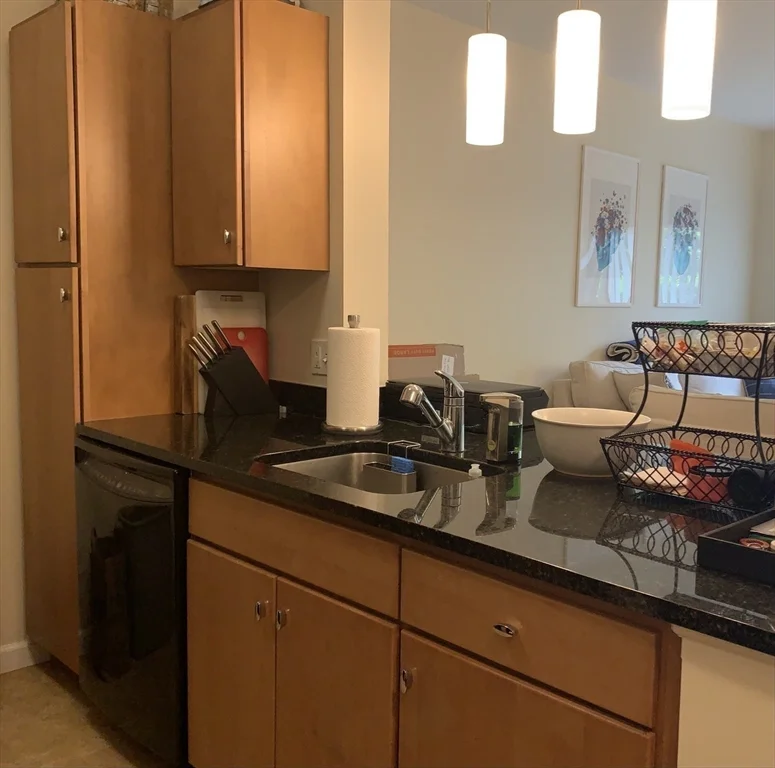 1 bed, 1 bath apartment for rent at 5 Repton Circle Unit 5106, Watertown — photo 5 of 22