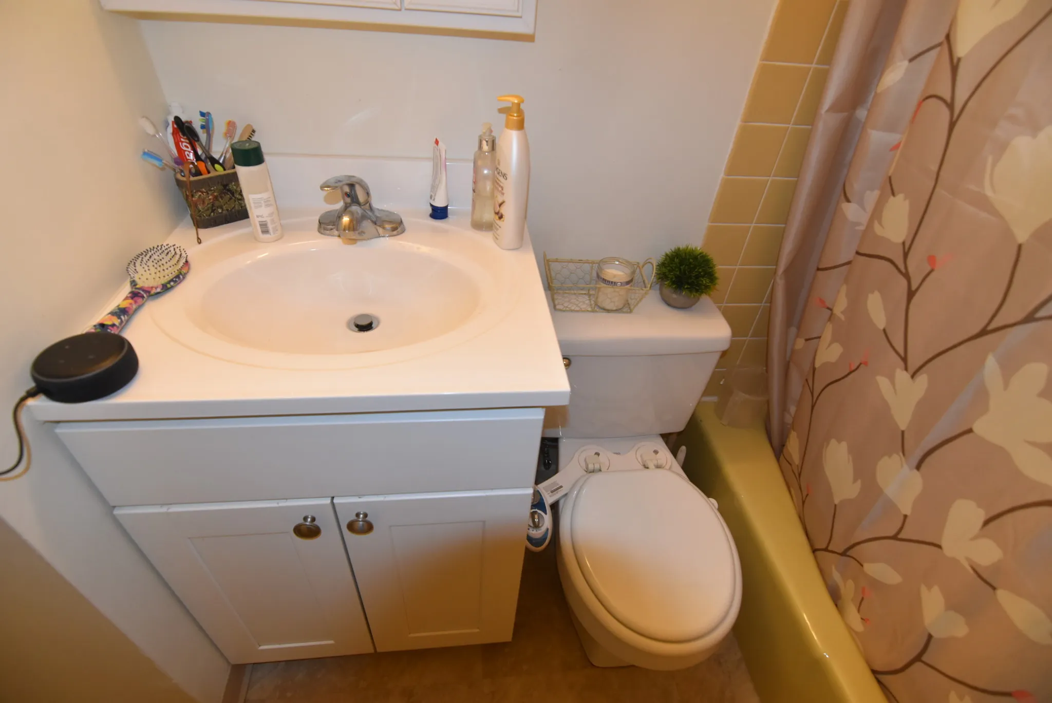 1 bed, 1 bath apartment for rent at 5 Royce Rd Unit 22, Allston — photo 5 of 21