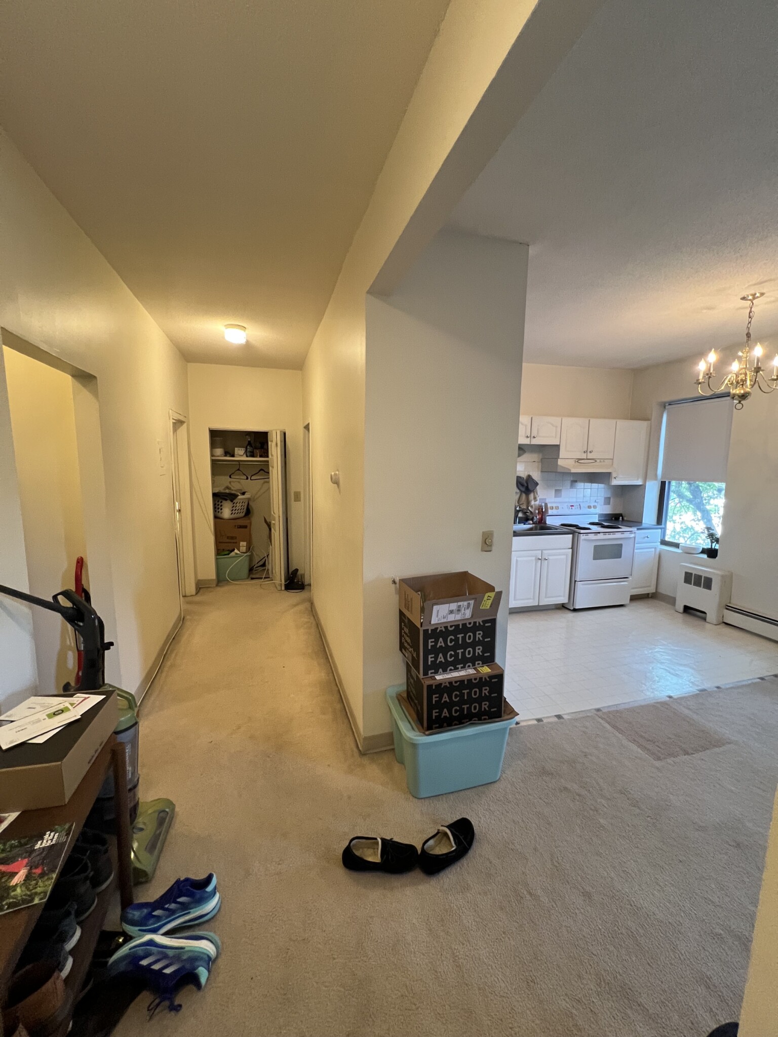 2 bed, 1 bath apartment for rent at 5 Royce Rd Unit 23, Allston — photo 4 of 16