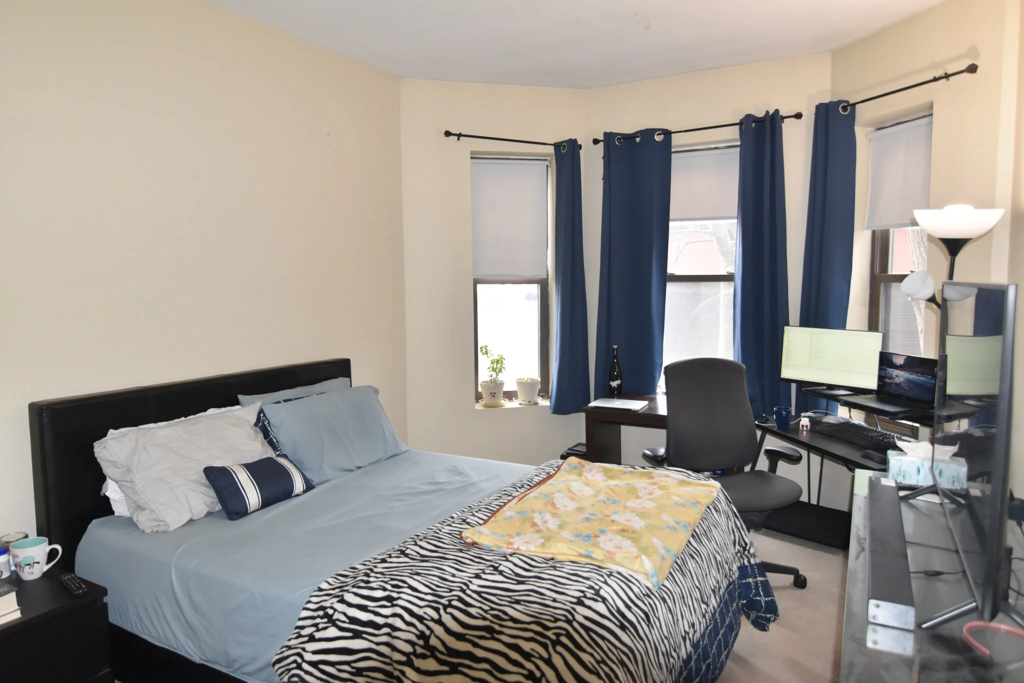 2 bed, 1 bath apartment for rent at 5 Royce Rd Unit 3, Allston — photo 7 of 16