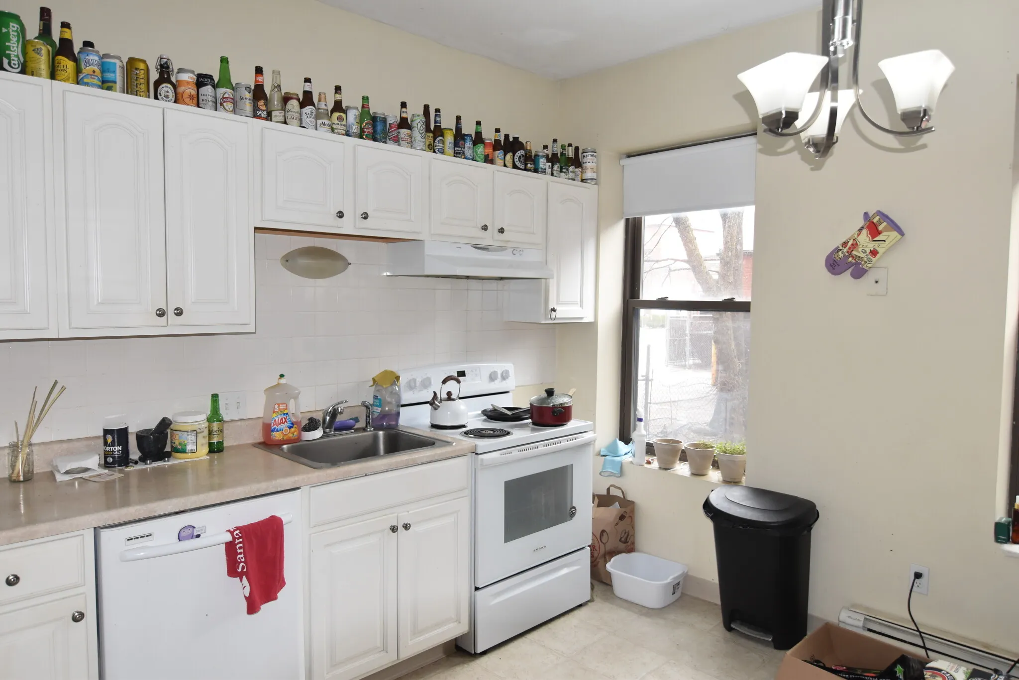 2 bed, 1 bath apartment for rent at 5 Royce Rd Unit 3, Allston — photo 4 of 16