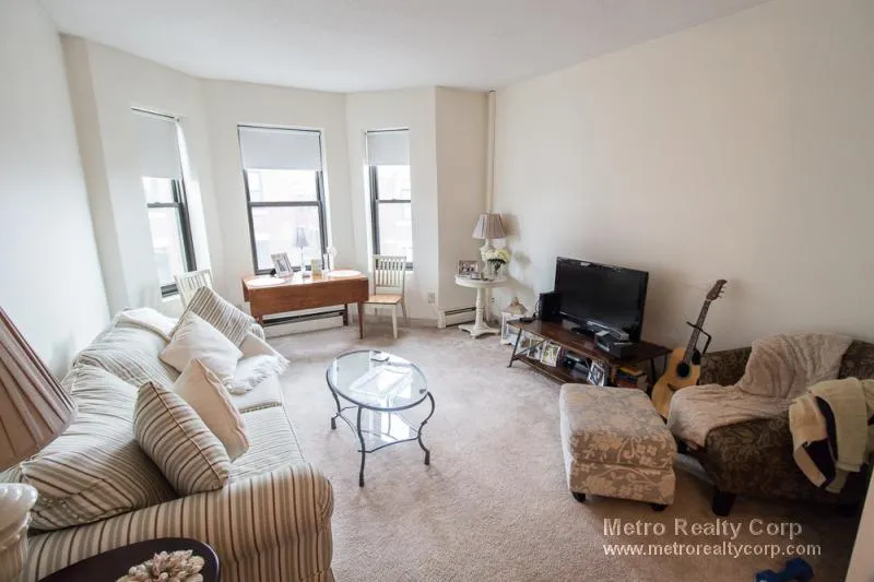 1 bed, 1 bath apartment for rent at 5 Royce Rd Unit 36, Allston — photo 3 of 17