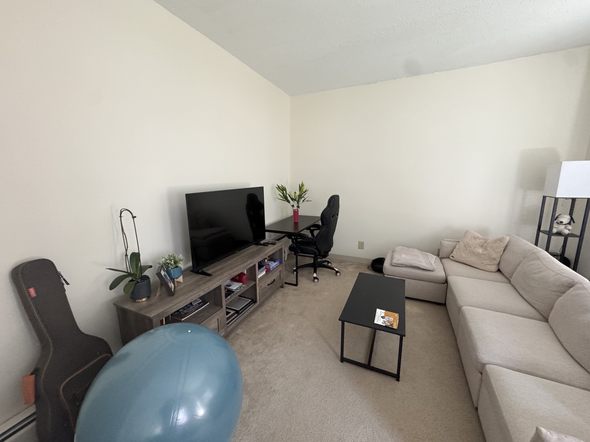 1 bed, 1 bath apartment for rent at 5 Royce Rd Unit 42, Allston — photo 2 of 15