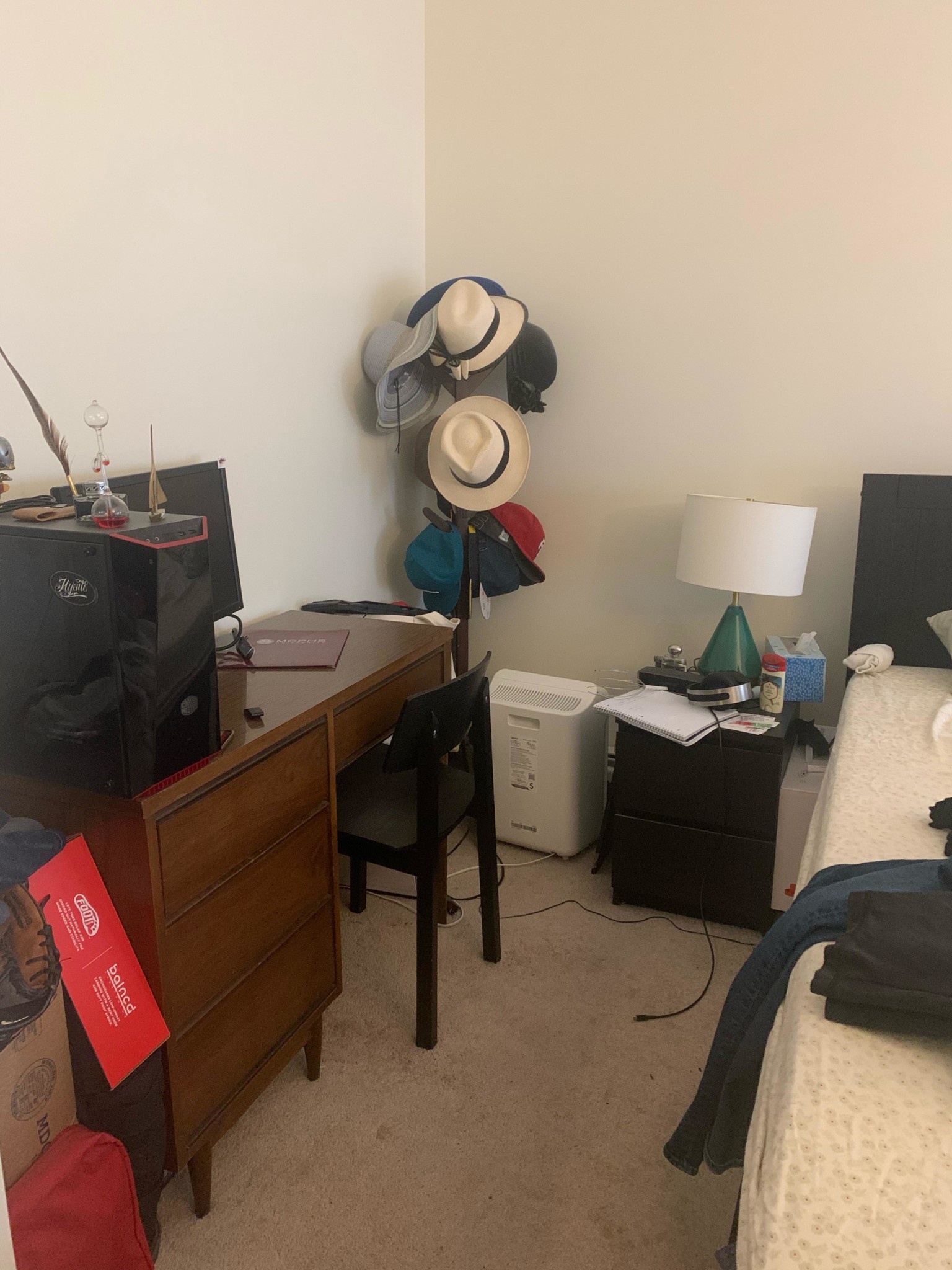 1 bed, 1 bath apartment for rent at 5 Royce Rd Unit 46, Allston — photo 6 of 13