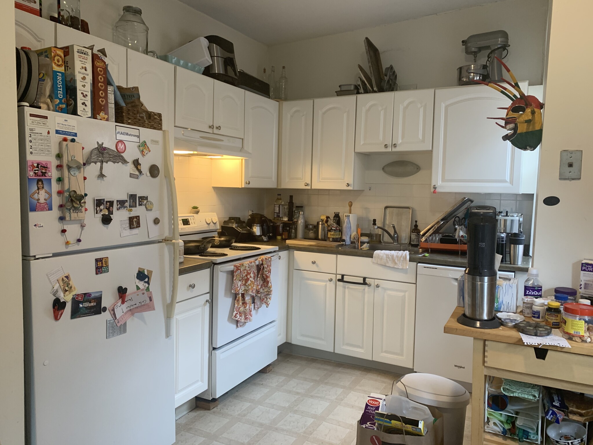 1 bed, 1 bath apartment for rent at 5 Royce Rd Unit 46, Allston — photo 1 of 13