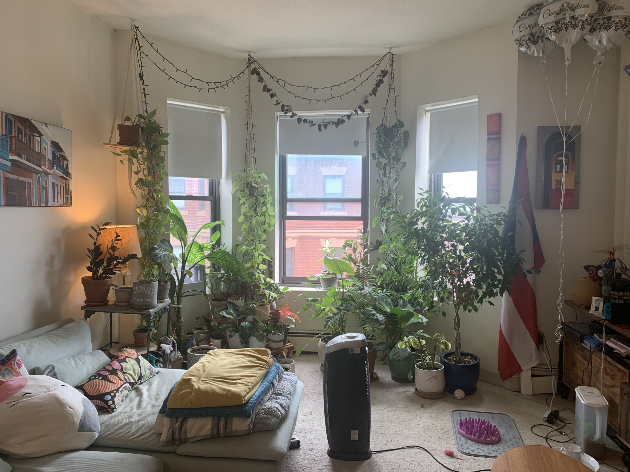 1 bed, 1 bath apartment for rent at 5 Royce Rd Unit 46, Allston — photo 3 of 13