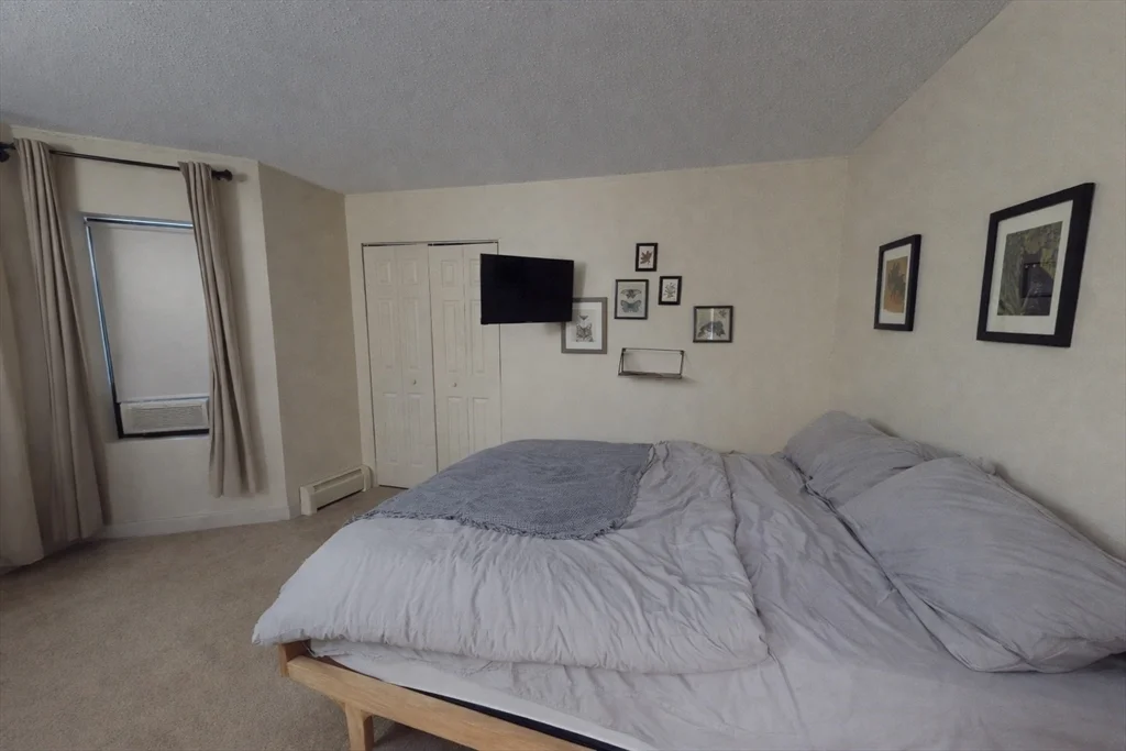 1 bed, 1 bath apartment for rent at 5 Royce Rd Unit 52, Allston — photo 3 of 8